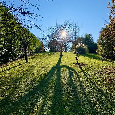 Bed & Breakfast B&bcb - Colli Berici *