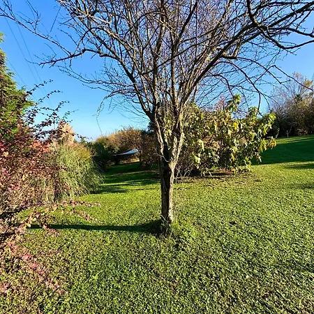 Bed & Breakfast B&bcb - Colli Berici *