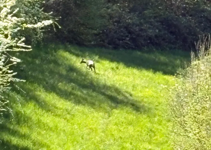 B&bcb - Colli Berici